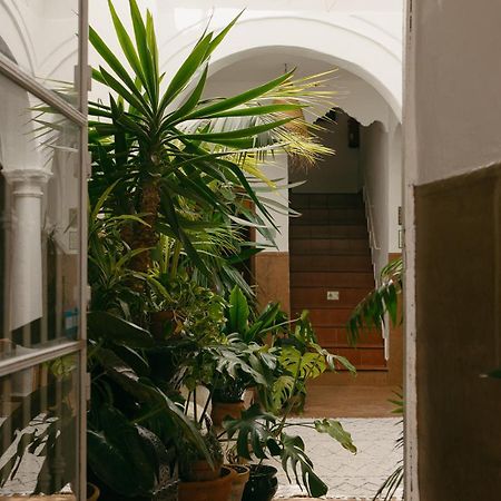 Hostal Africa Tarifa Exteriör bild