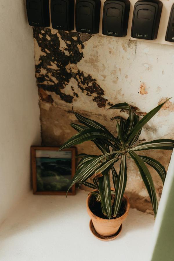 Hostal Africa Tarifa Exteriör bild