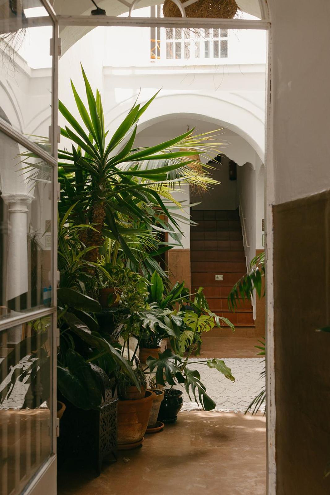 Hostal Africa Tarifa Exteriör bild