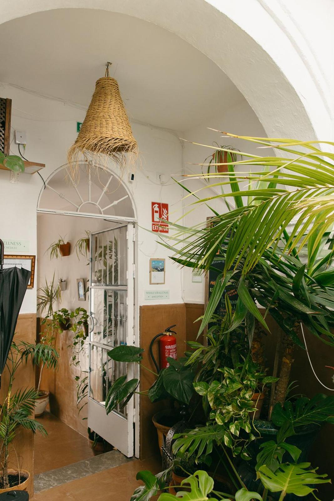 Hostal Africa Tarifa Exteriör bild